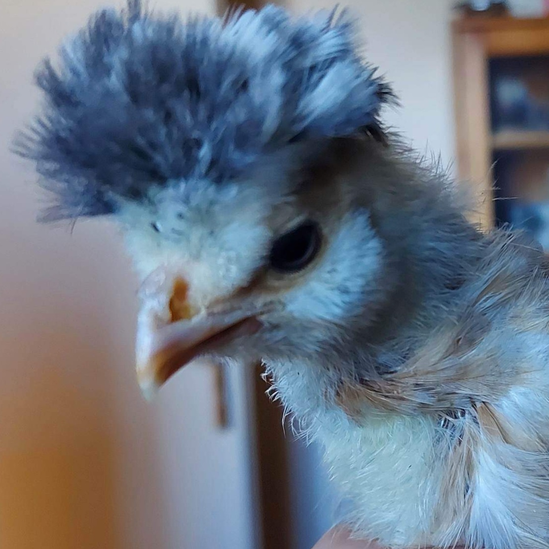 Photo prise le 2023-02-27